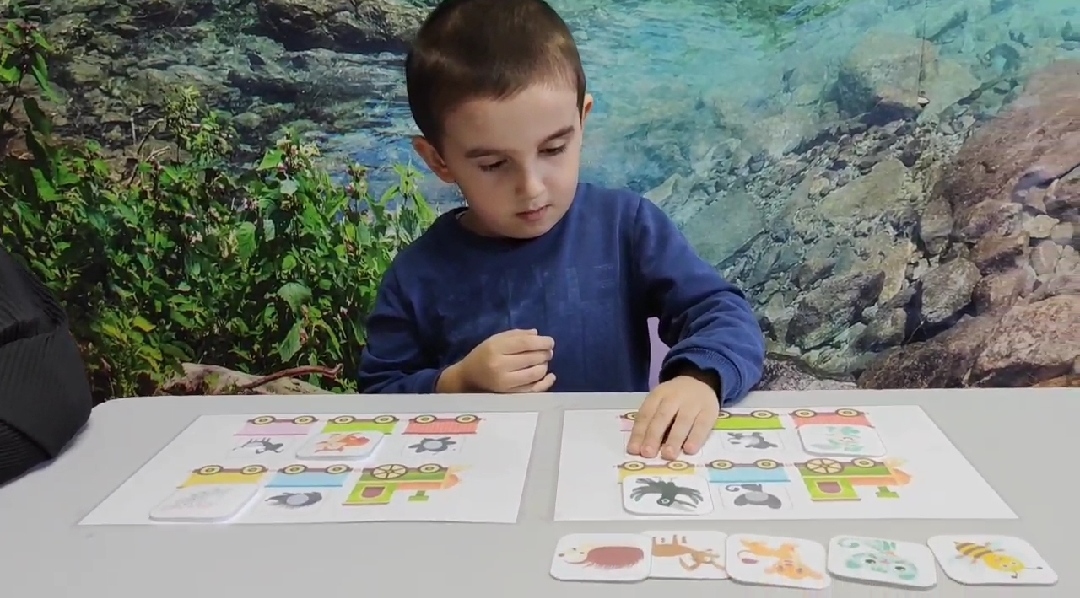 Индивидуальное психологическое занятие